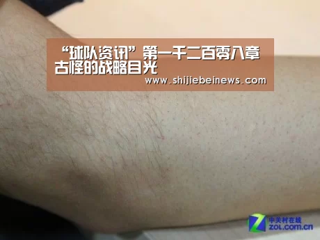 世界杯赛程